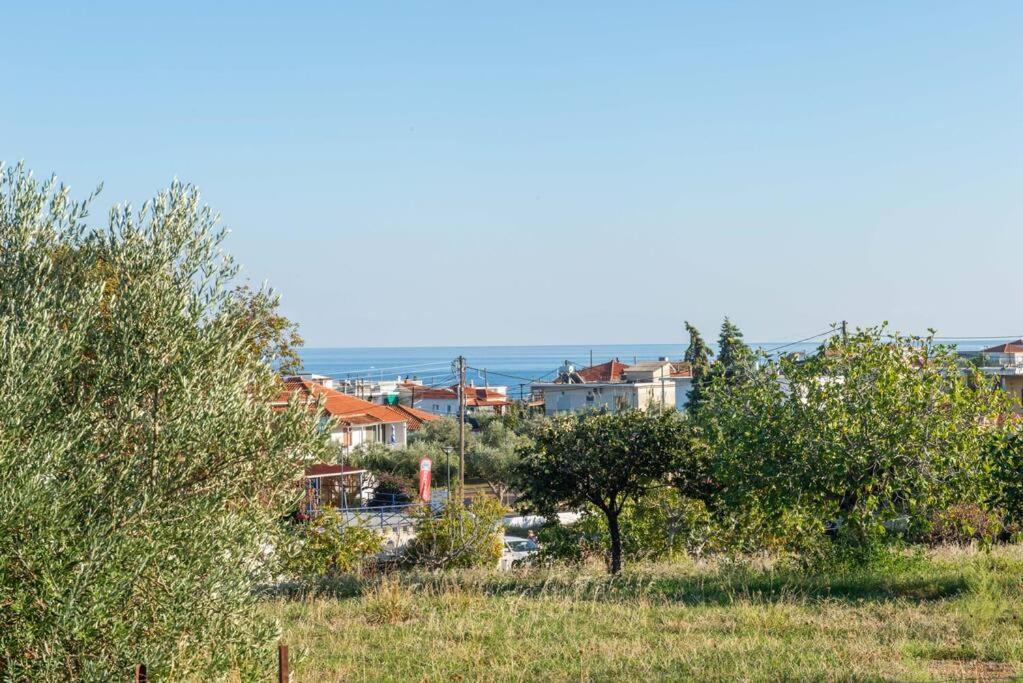 Όμορφο Παραθασυγκρότημα Ενοικιαζόμενων Καταλυμάτων Ως Ολόκληρος Χώρος - Chrani, Ελλάδαλάσσιο Διαμέρισμα Exterior foto